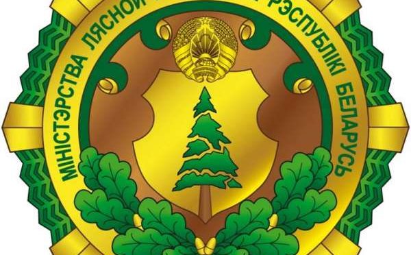 Выездное заседание коллегии Министерства лесного хозяйства РБ