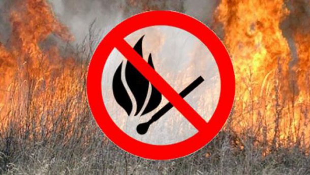 Выжигание сухой растительности в ранний весенний период – основная причина лесных пожаров.