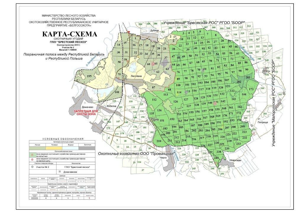 Карты лесного хозяйства. Карта лесхоза. Схема лесничества. Карта схема лесничества. Карта лесхоз-угодий.