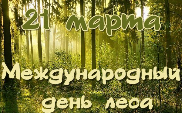 Международный день леса пройдет в Брестском лесхозе
