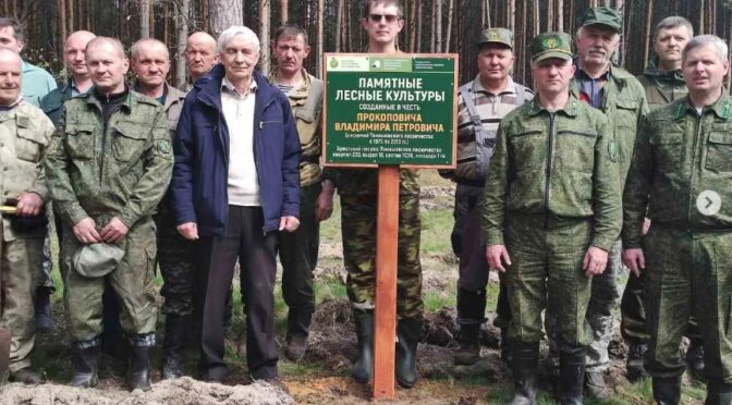 Памятные лесные культуры в честь Прокоповича В.П.