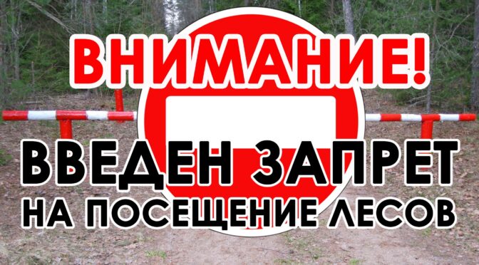 Запрет на посещение лесов Каменецкого района