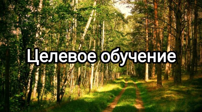 Целевое обучение