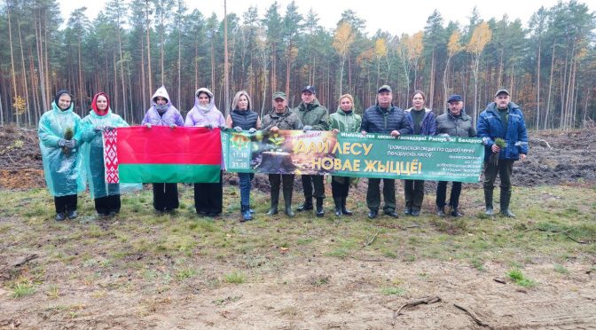 Работники суда приняли участие в республиканской акции «ДАЙ ЛЕСУ НОВАЕ ЖЫЦЦЕ!»