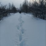 photo_2026-01-16_12-42-55