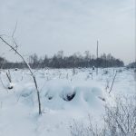 photo_2026-01-16_12-43-02