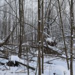 photo_2026-01-16_12-55-14 (2)