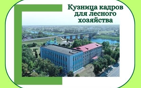 ПРИГЛАШАЕМ ШКОЛЬНИКОВ НА ПРОФОРИЕНТАЦИОННОЕ МЕРОПРИЯТИЕ 16 мая 2026 г.
